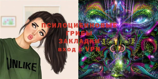 твердый Надым