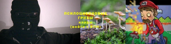 твердый Надым