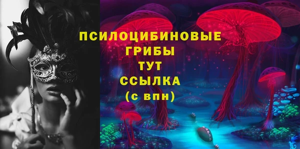 твердый Надым