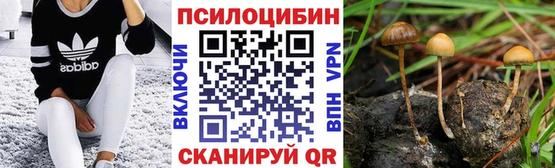mega ТОР  Калуга  Галлюциногенные грибы GOLDEN TEACHER 