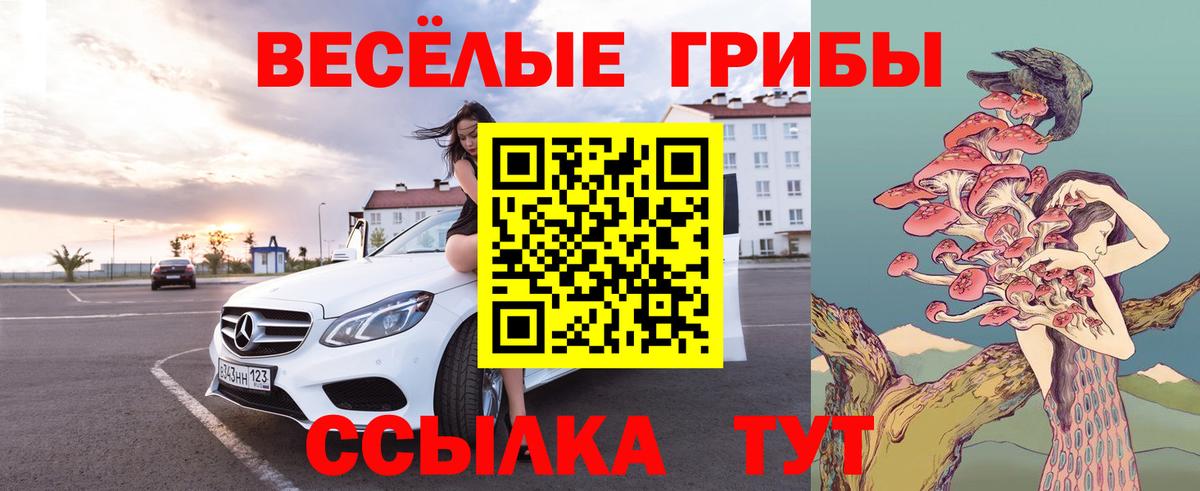 Калуга  Псилоцибиновые грибы Cubensis  Галлюциногенные грибы MAGIC MUSHROOMS  Вход с VPN 