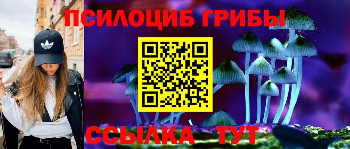 Галлюциногенные грибы прущие грибы  Калуга 