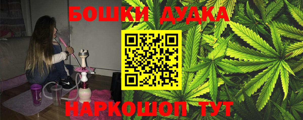 Каннабис план Калуга